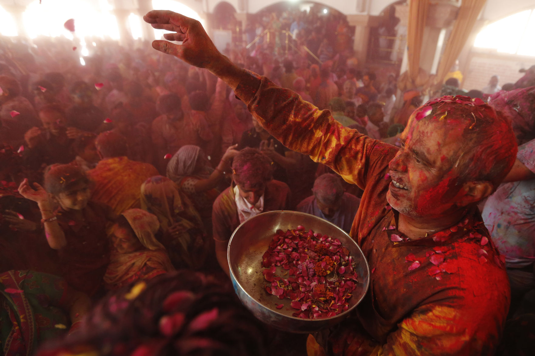 Holi festival flowers
